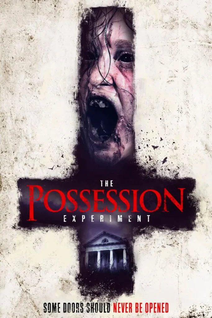 poster the possession